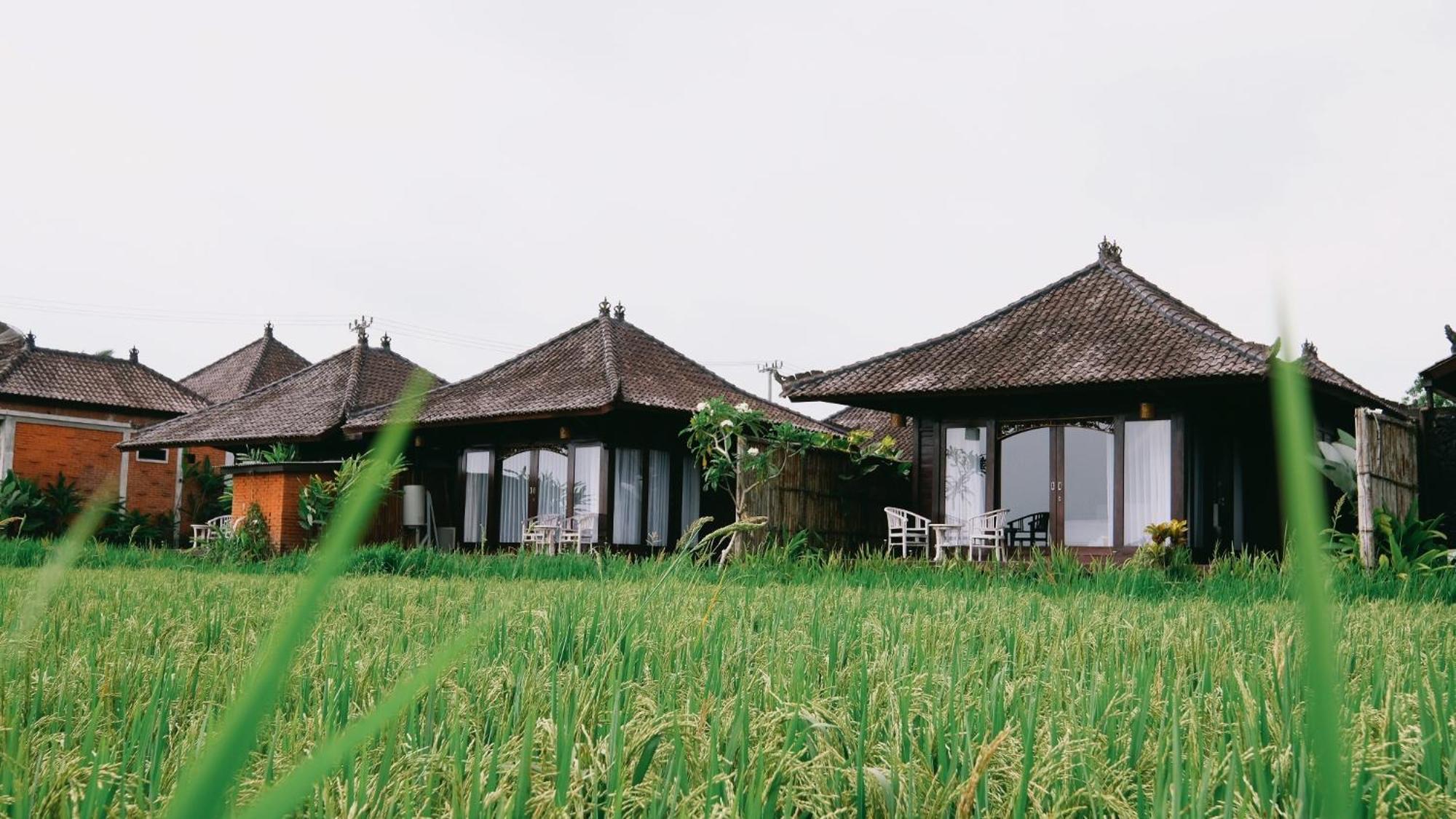Kayangan Villa Ubud Тегаллаланг Экстерьер фото