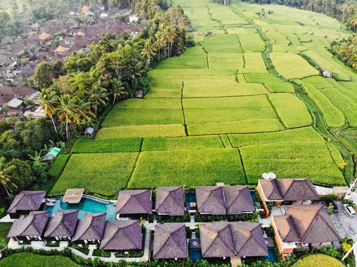 Kayangan Villa Ubud Тегаллаланг Экстерьер фото
