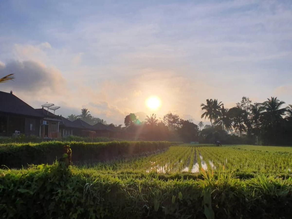 Kayangan Villa Ubud Тегаллаланг Экстерьер фото